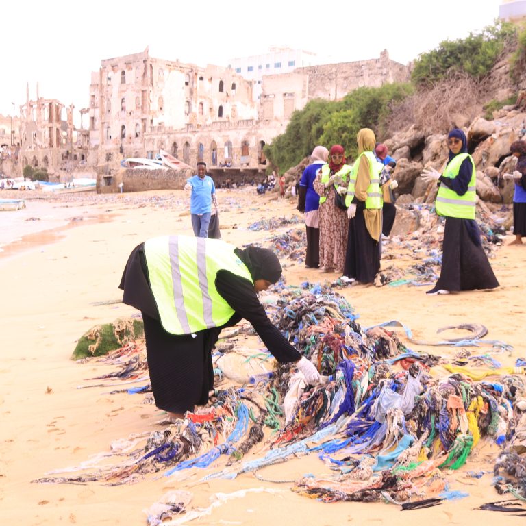 Volunteers in reflective vests collecting debris on a beach.